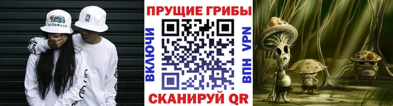 Псилоцибиновые грибы GOLDEN TEACHER Старый Крым