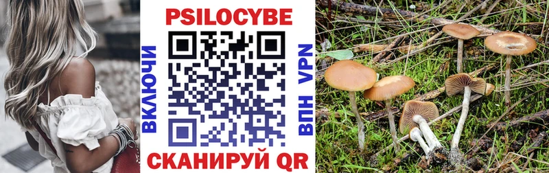 Псилоцибиновые грибы Cubensis  Купить закладки  Старый Крым 
